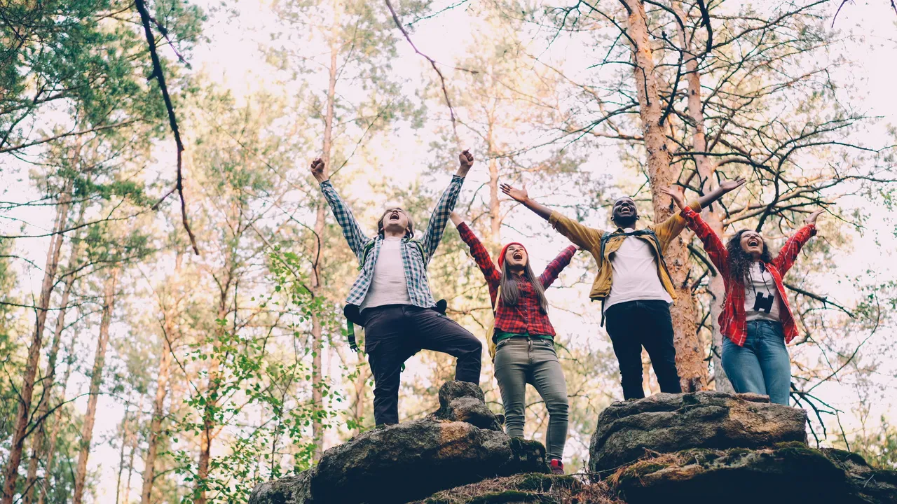 Four people standing on rocks in a pine forest with their arms raised