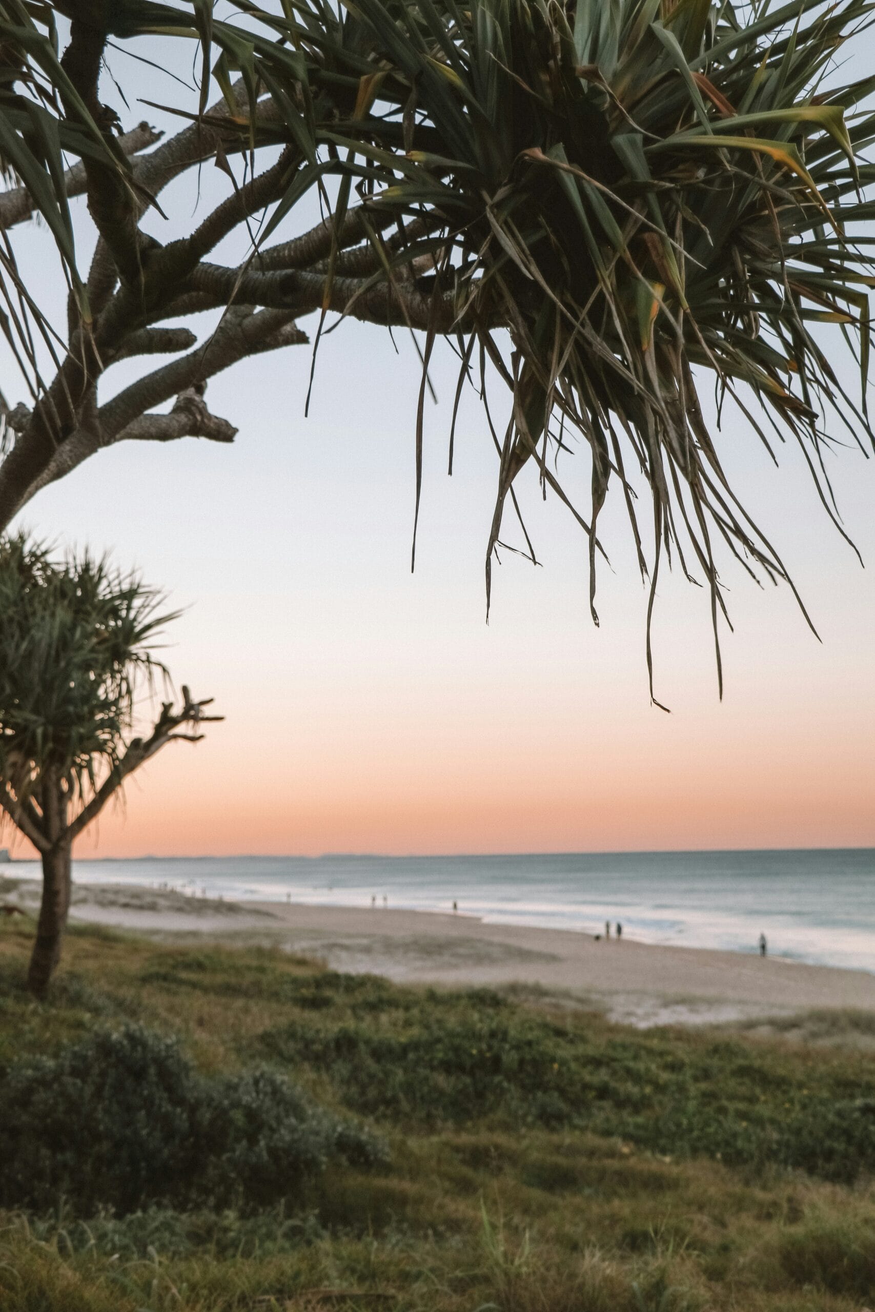 A peaceful beach scene at sunset with a tree in the foreground, grassy dunes, people walking along the shoreline—some enjoying gentle waves as part of their occupational therapy services—beneath a pastel-colored sky.
